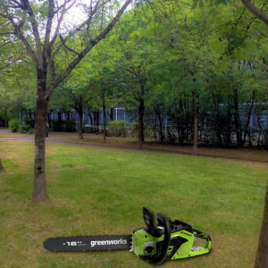 modification du PLUM pour raser des arbres dans un espace public urbain...