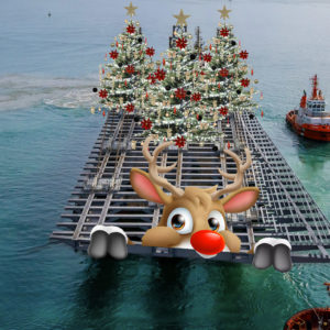 Compter sur un anticyclone et une mer plate sur le golfe de Gascogne était une option risquée. Mais voilà, les vents d'est seront de la partie pour la dernière semaine de 2025. Mais la déco de Noël sur le tablier d'Anne de Bretagne. Encore une belle idée qui tombe à l'eau.