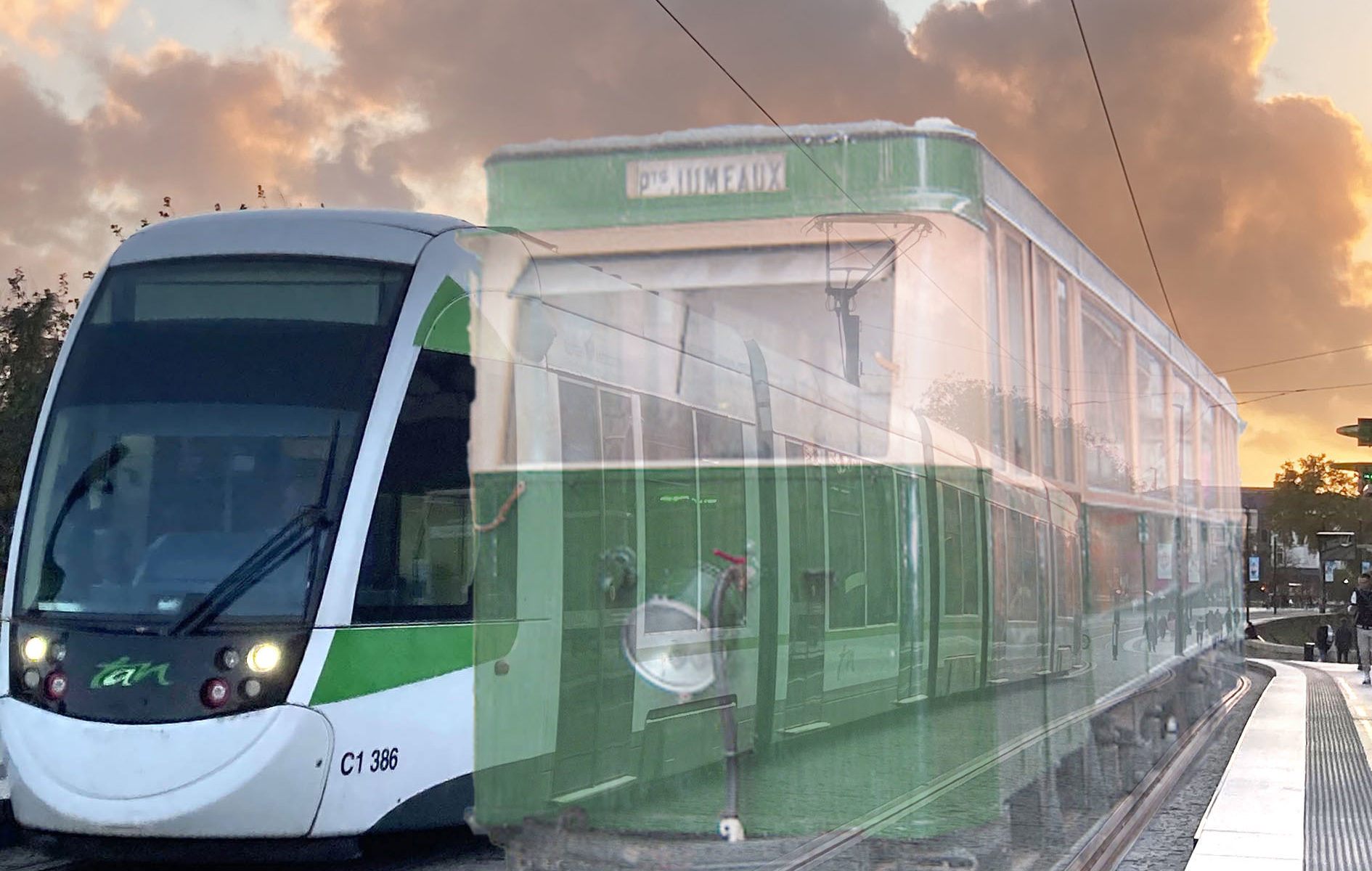 Error municipalis est, et vectigalia quoque