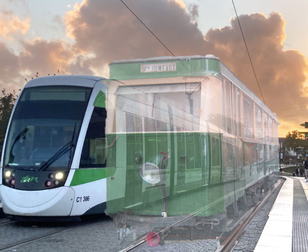 Error municipalis est, et vectigalia quoque